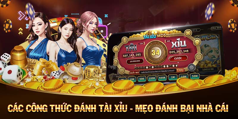 009bet-Code tân thủ - Cơ hội để bắt đầu một cuộc phiêu lưu mới!